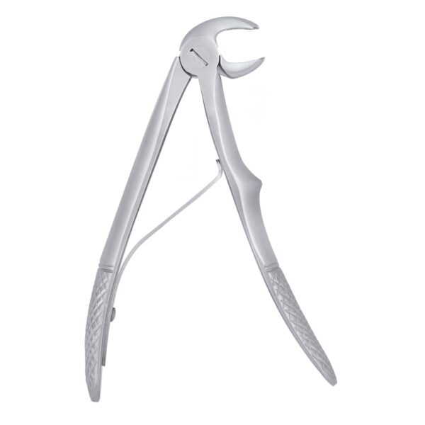 Lower Molars English Extraction Forcep