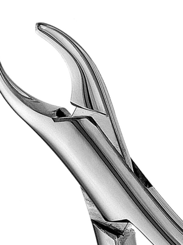 Upper Primary Incisors & Roots Extraction Forcep