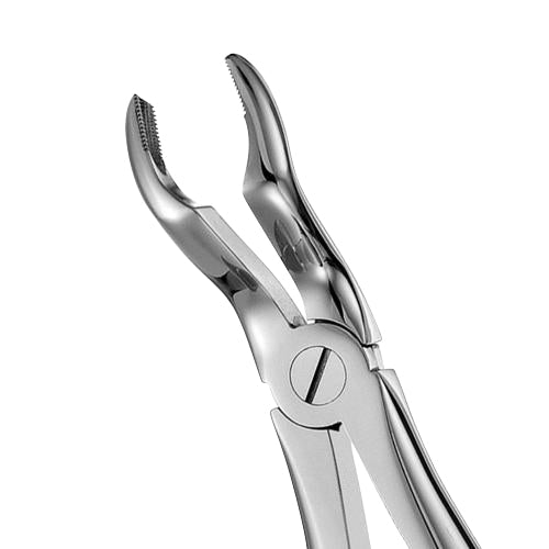 67A-Serrated Upper Molars Extraction Dental Forceps