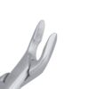 Upper Universal Apical Extraction Forceps