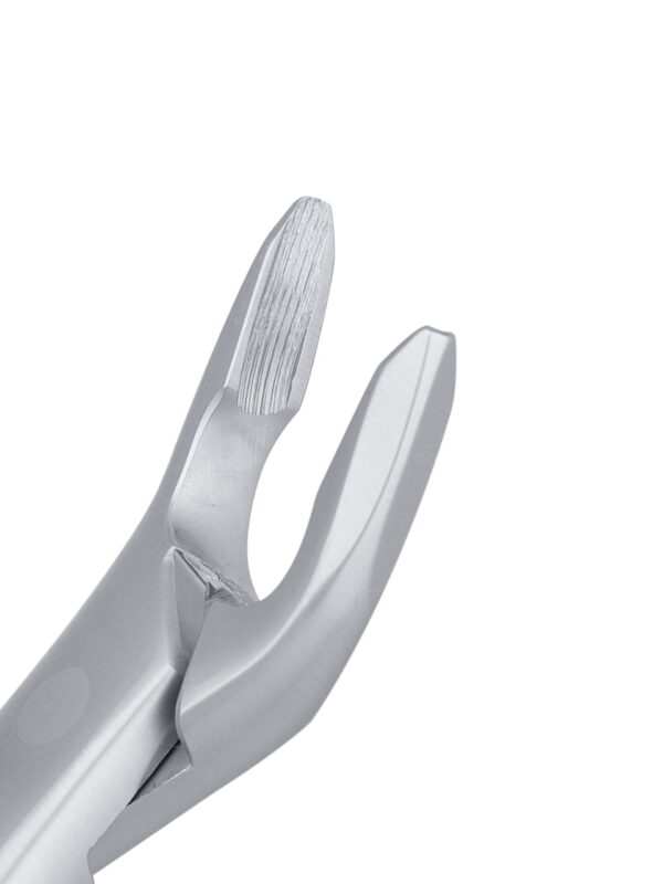 Upper Universal Apical Extraction Forceps
